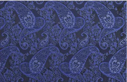 Tuxedo Blue and Navy Patterned Brocade Coat / Style Number J39184/220